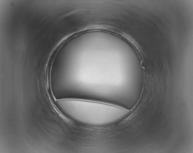 X0000084041127200702160846