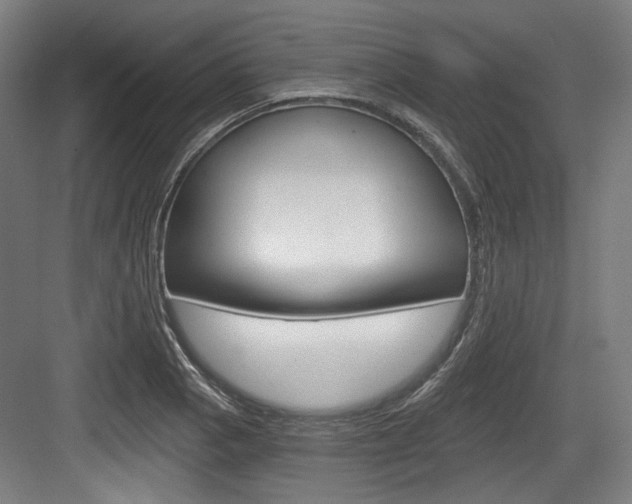 X0000084041129200702160846