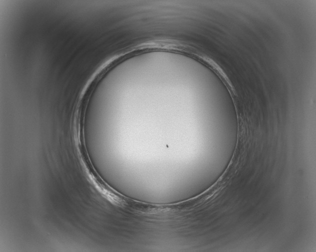 X0000084041131200702160846