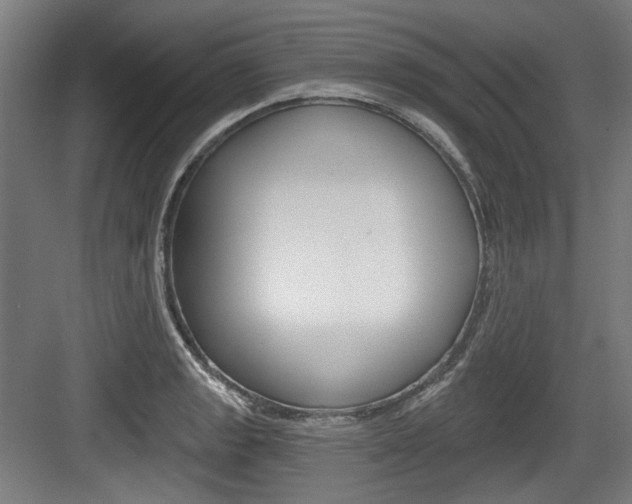 X0000084041133200702160846