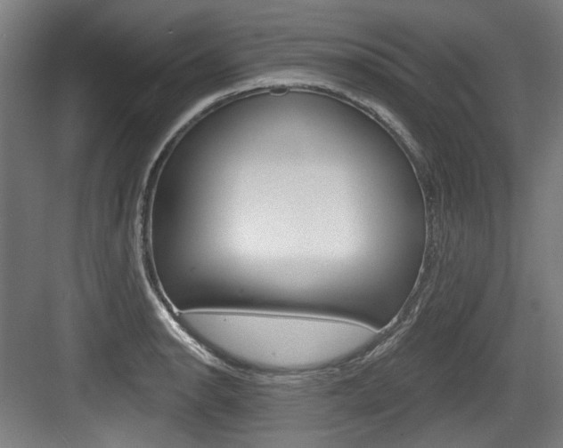 X0000084041134200702160846