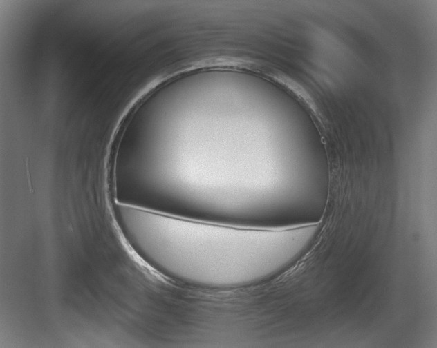 X0000084041135200702160846