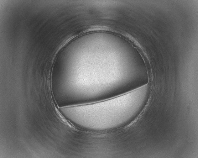 X0000084041137200702160846