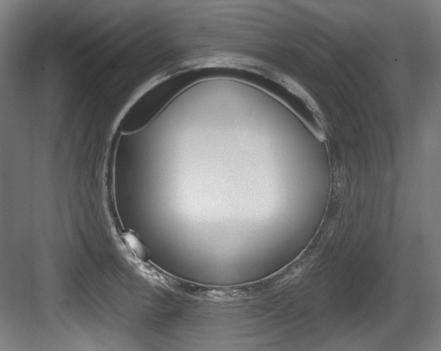 X0000084041138200702160846