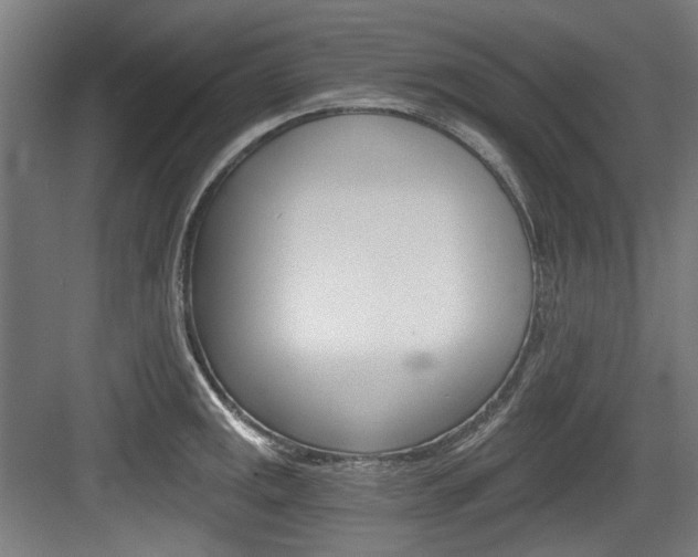 X0000084041141200702160846