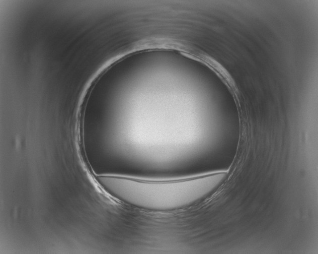 X0000084041144200702160847