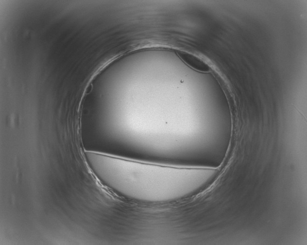 X0000084041145200702160847