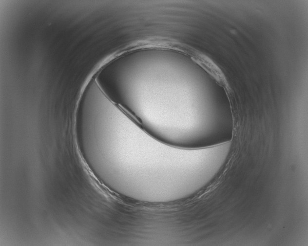 X0000084041146200702160847