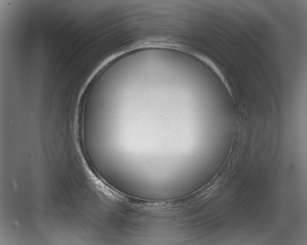 X0000084041147200702160847