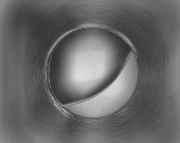 X0000084041148200702160847