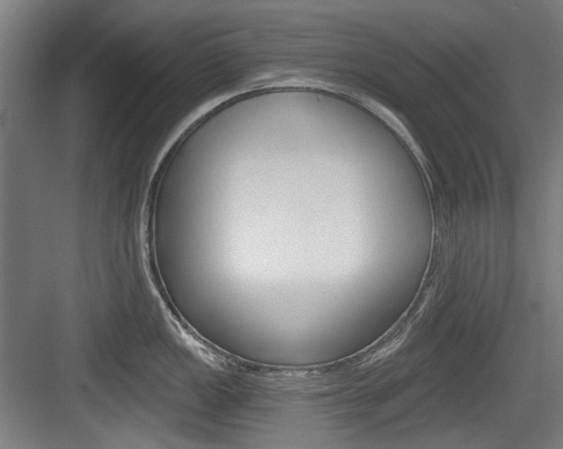 X0000084041149200702160847