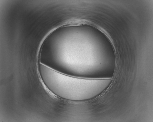 X0000084041152200702160847