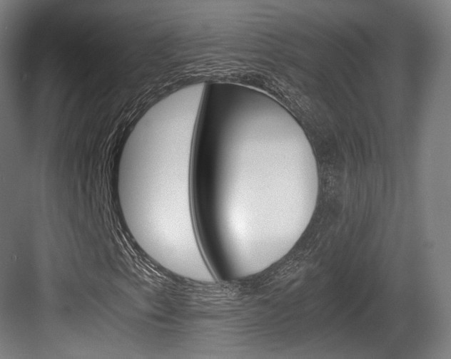 X0000084041153200702160846