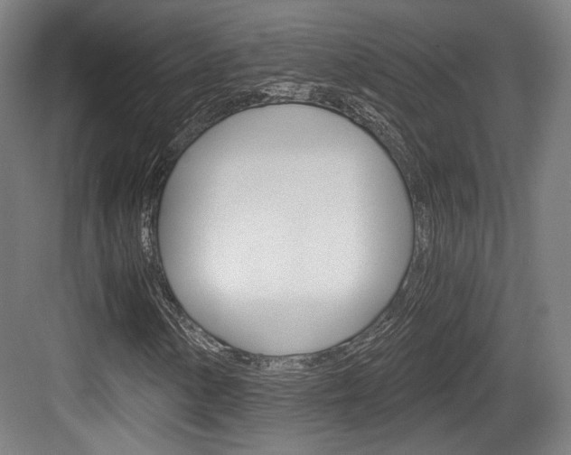 X0000084041154200702160846