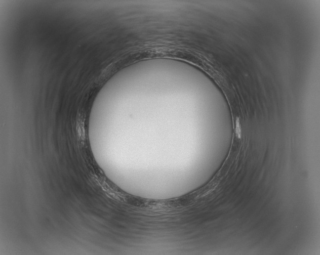 X0000084041155200702160846