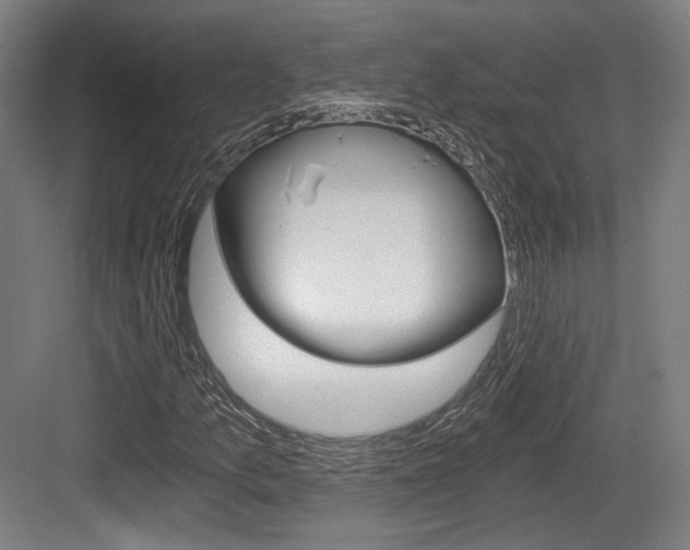 X0000084041157200702160846