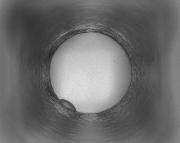 X0000084041158200702160846