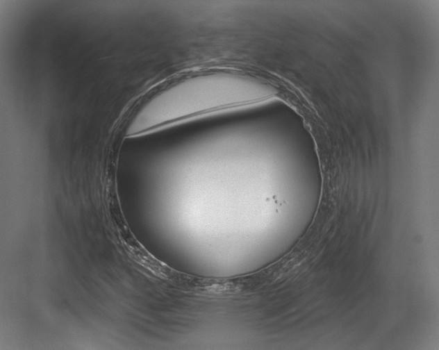 X0000084041160200702160846