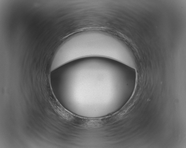 X0000084041161200702160846
