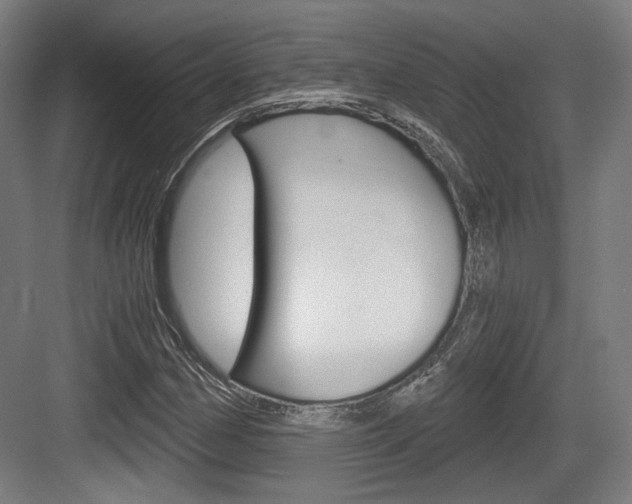 X0000084041162200702160846