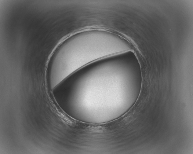 X0000084041168200702160846