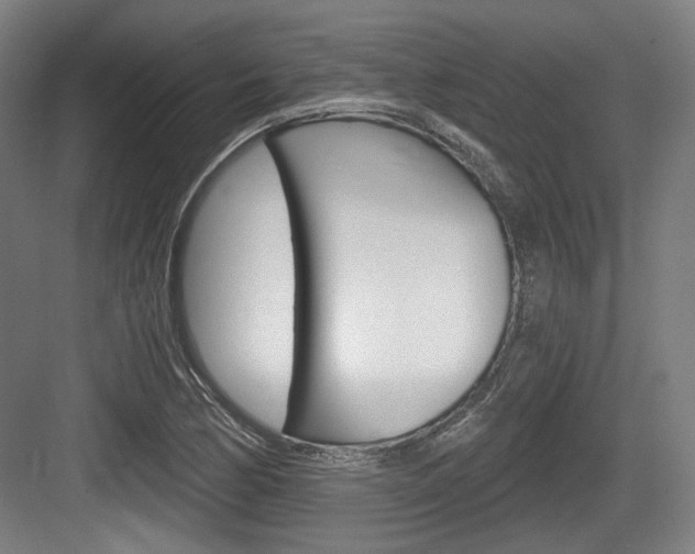 X0000084041170200702160846