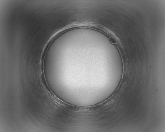 X0000084041174200702160845