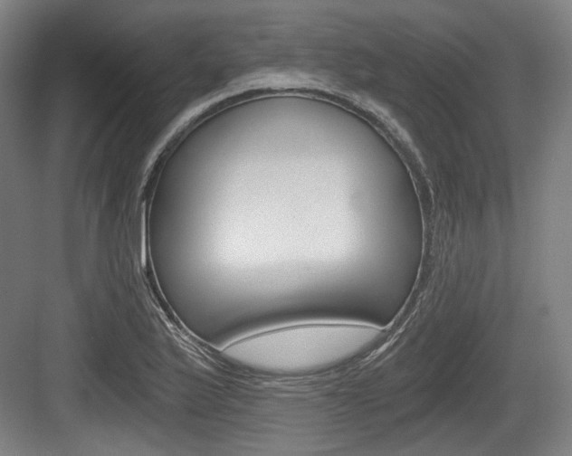 X0000084041175200702160845
