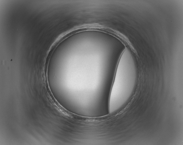 X0000084041176200702160845