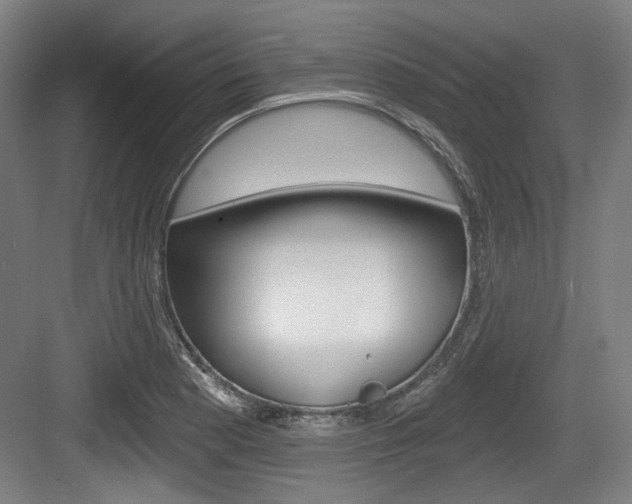 X0000084041177200702160845