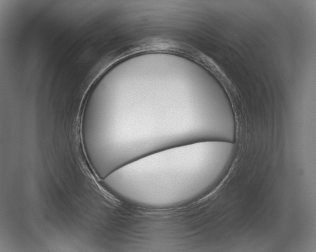 X0000084041178200702160845