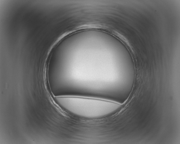 X0000084041179200702160845