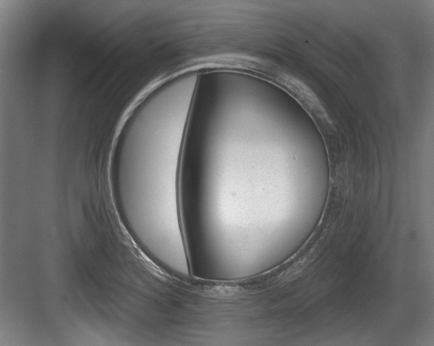 X0000084041180200702160845