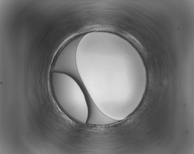 X0000084041182200702160845