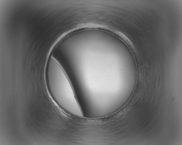 X0000084041183200702160845