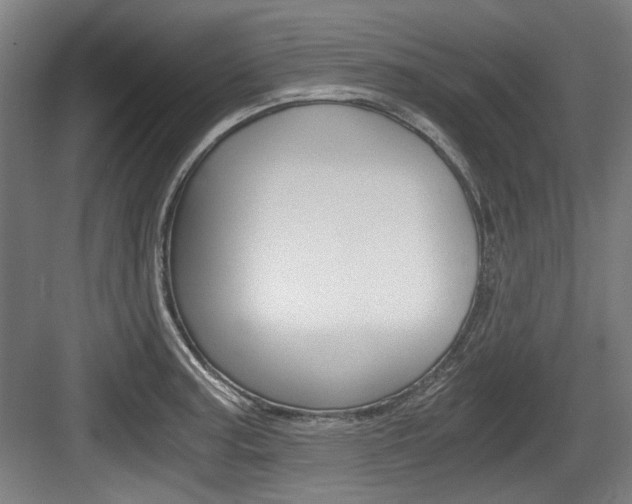 X0000084041187200702160845