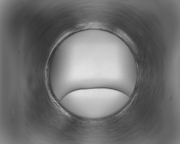 X0000084041190200702160845