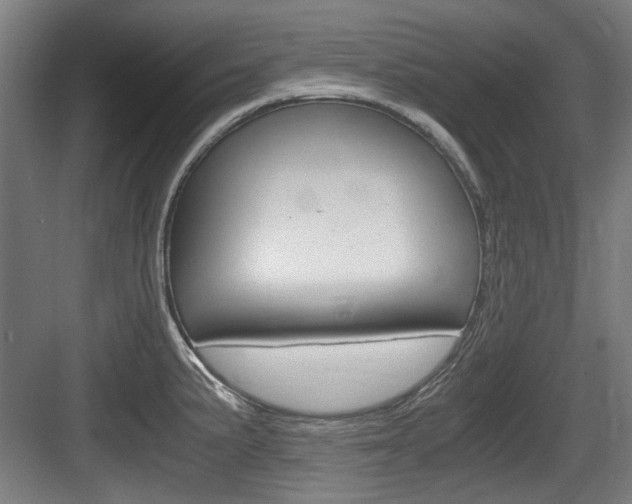 X0000084041191200702160845