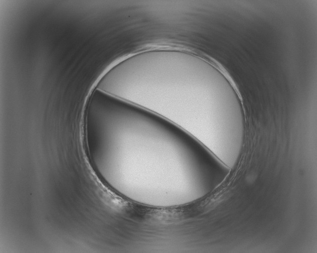 X0000084041195200702160845