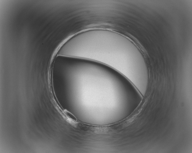 X0000084041196200702160845