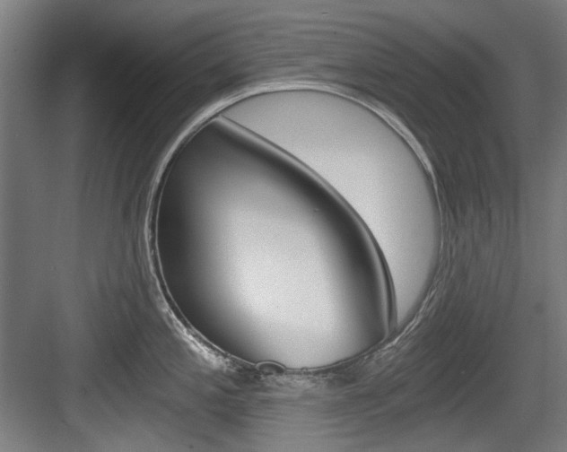 X0000084041197200702160845
