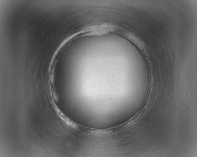 X0000084041200200702160845