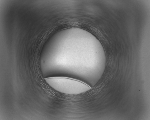 X0000084041201200702160844