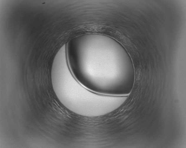 X0000084041202200702160844