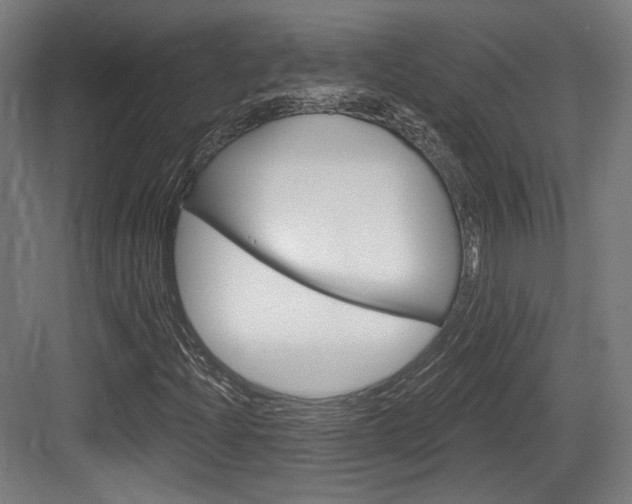 X0000084041204200702160844