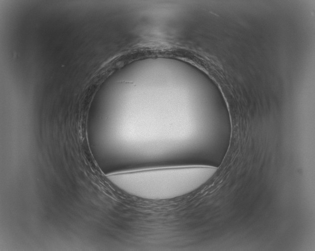 X0000084041205200702160844
