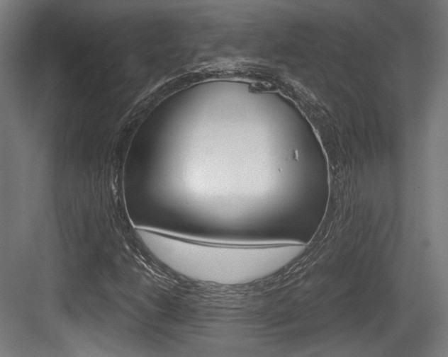 X0000084041206200702160844