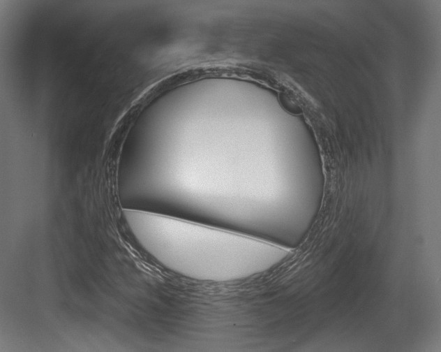 X0000084041208200702160844
