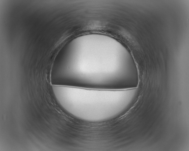 X0000084041209200702160844