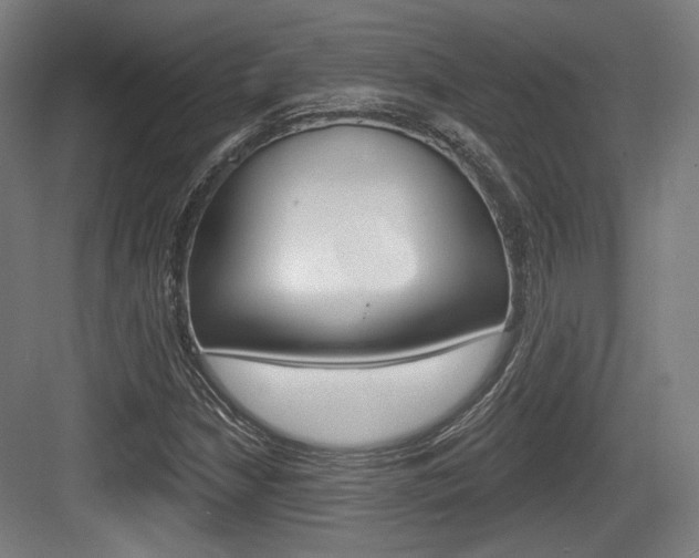 X0000084041210200702160844